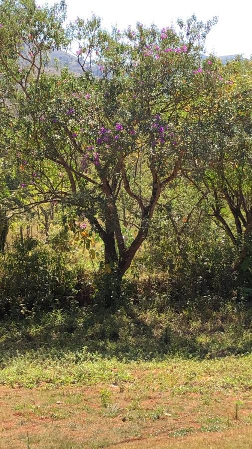 Chales Maricota Варжен-Боніта Екстер'єр фото